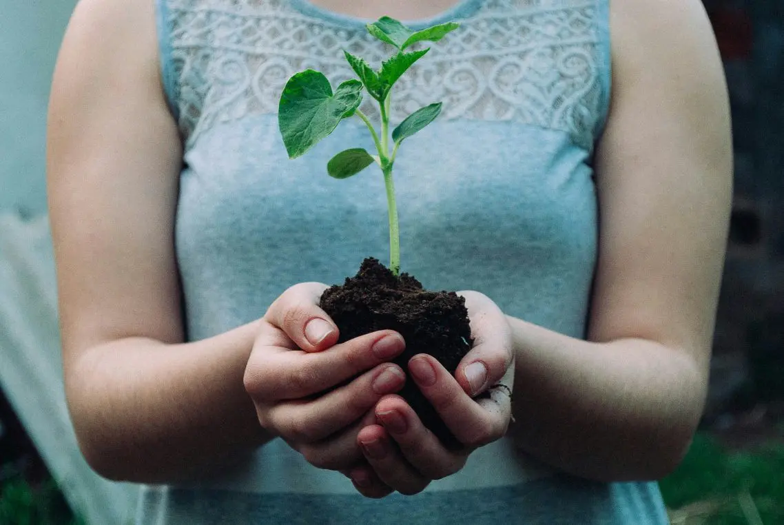 A small green seedling rises from a clump of soil, cupped in both hands of a person wearing a sleeveless grey top, set against a blurred outdoor background.