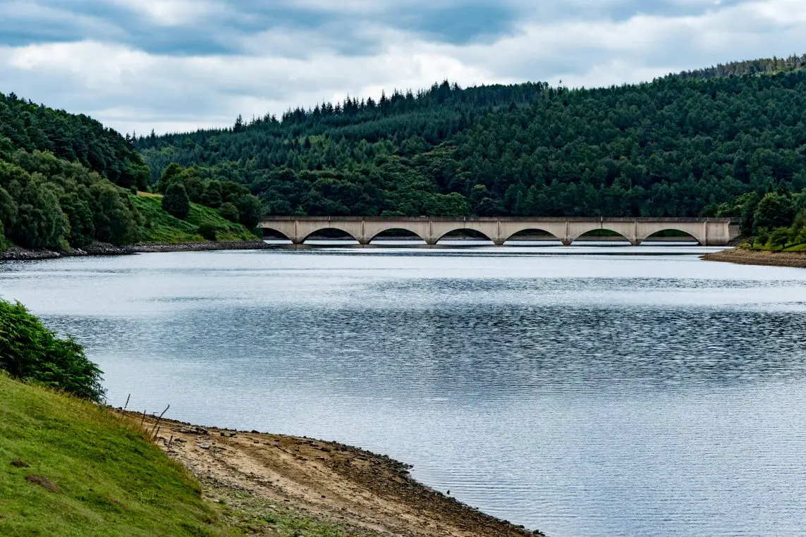 Concrete arched bridge spans a calm reservoir, reflecting soft ripples; surrounded by dense pine-covered hills and a grassy, rocky shoreline beneath an overcast sky.