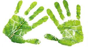 Going Green Handprint