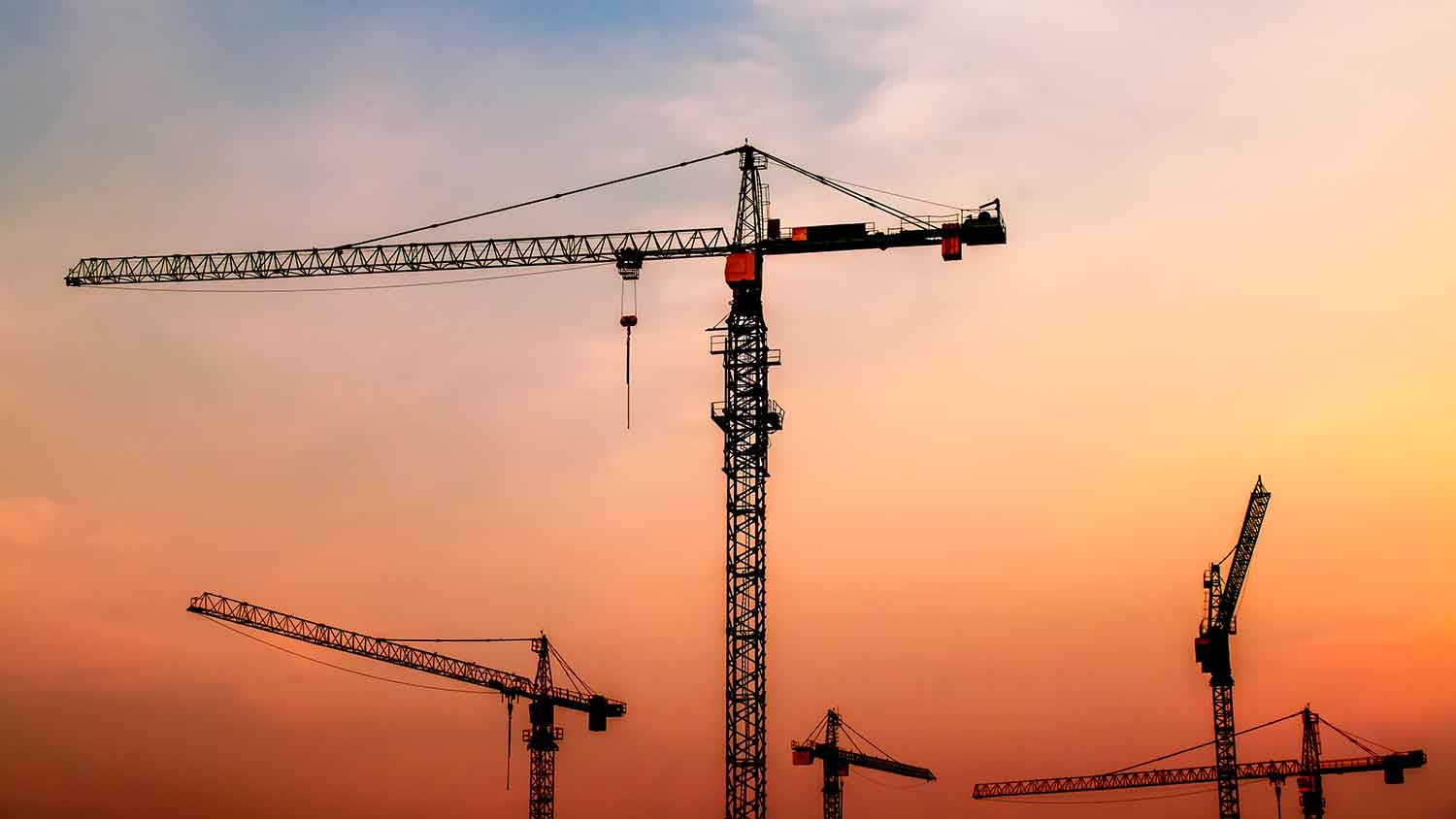 Five cranes sitting in front of pink clouds