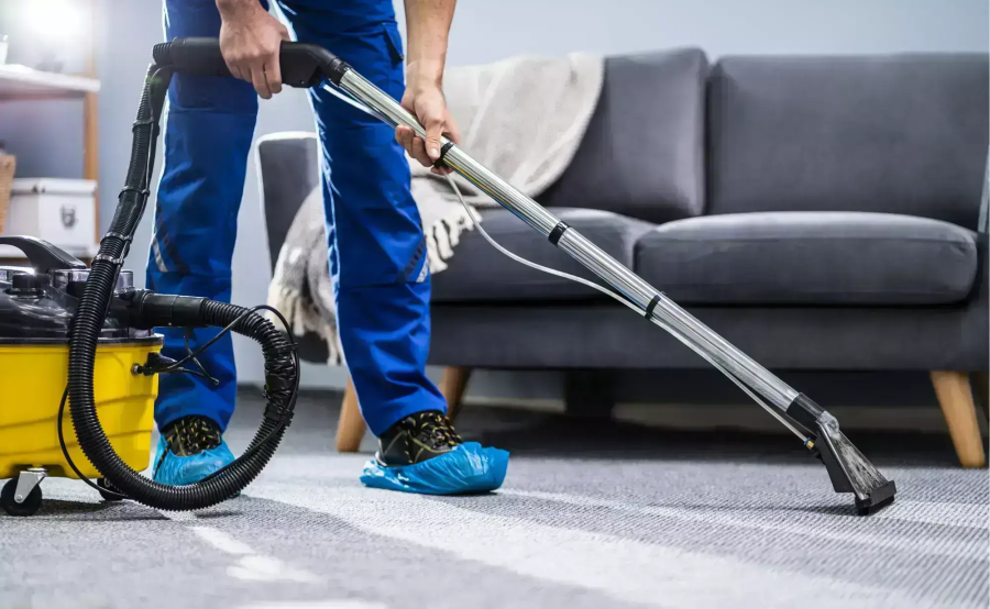 A person cleaning a carpet