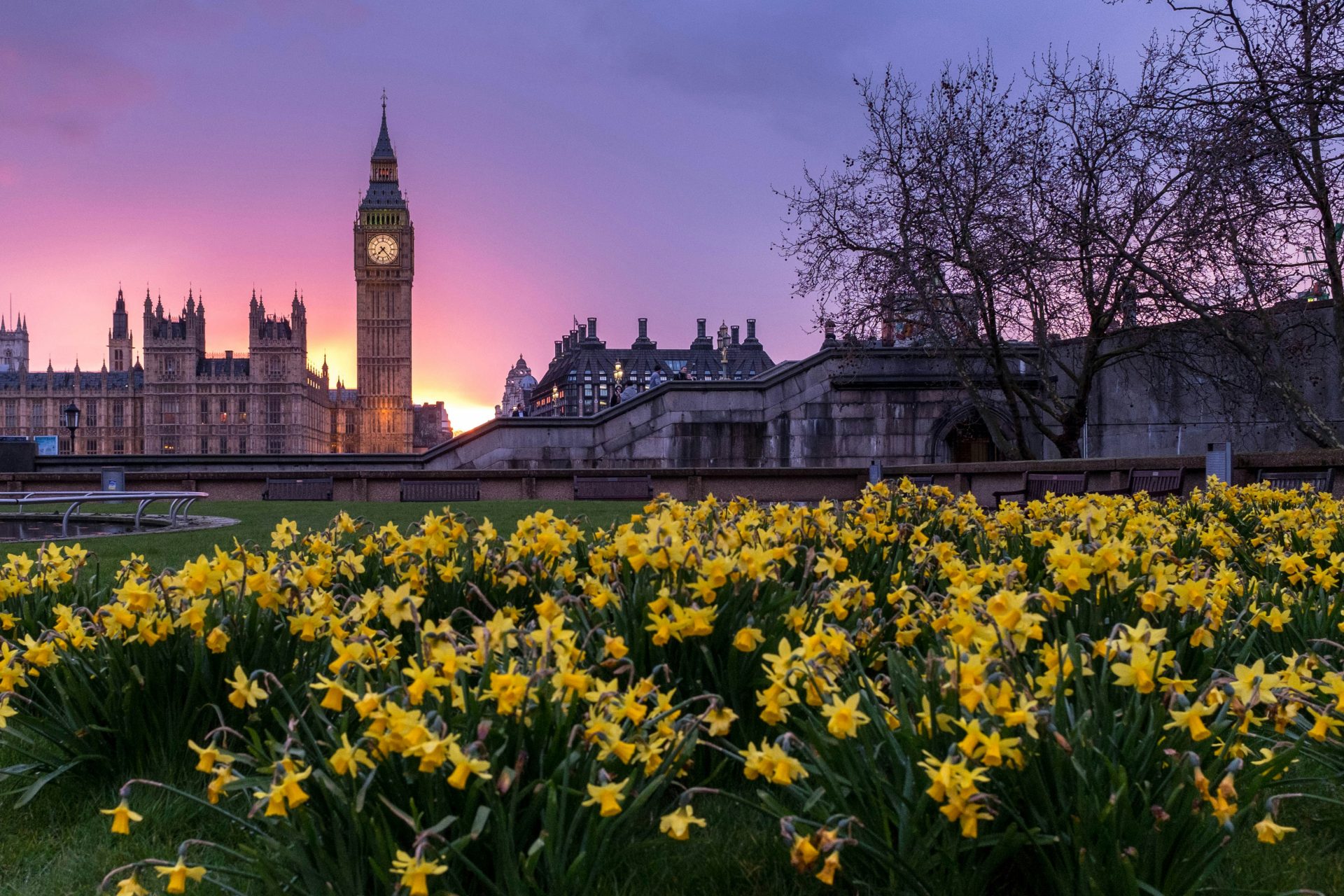 Introducing the Government Commercial Agency – One Month On